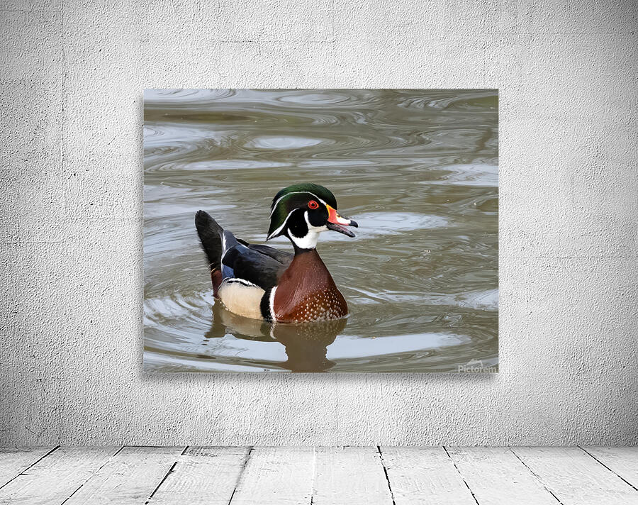 Waterfowl 42 Wall Preview