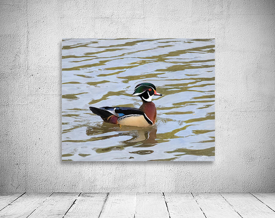 Waterfowl 44 Wall Preview