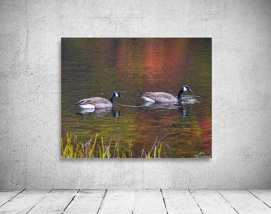 Waterfowl 45 Wall Preview