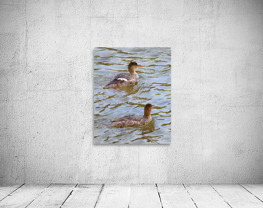 Waterfowl 51 Wall Preview