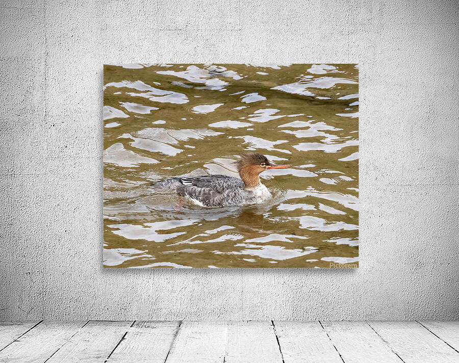Waterfowl 54 Wall Preview