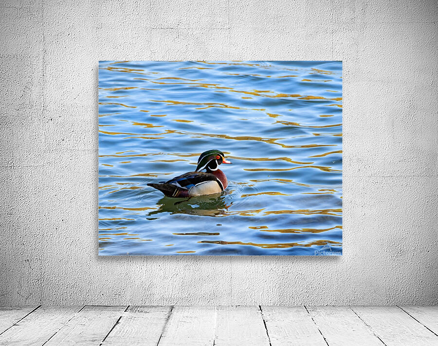 Waterfowl 55 Wall Preview