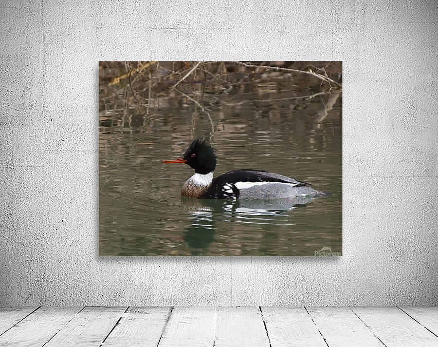Waterfowl 59 Wall Preview