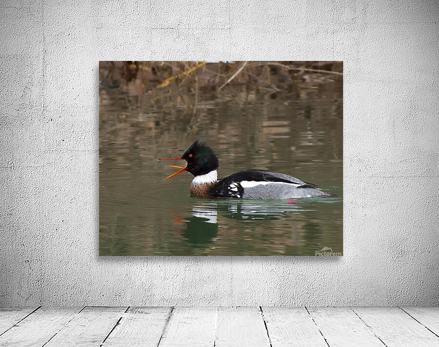 Waterfowl 62 Wall Preview