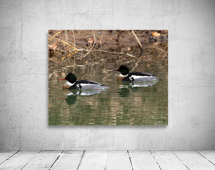 Waterfowl 64 Wall Preview