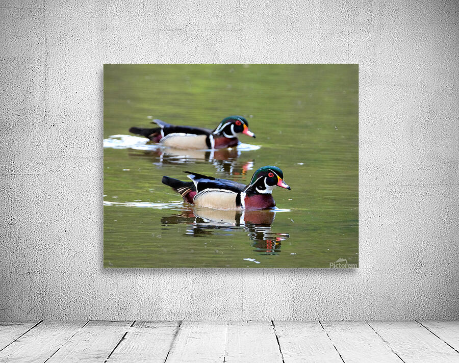 Waterfowl 73 Wall Preview