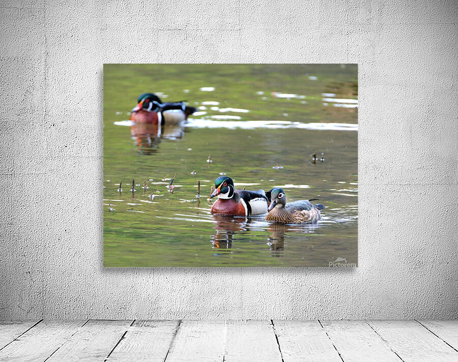 Waterfowl 75 Wall Preview