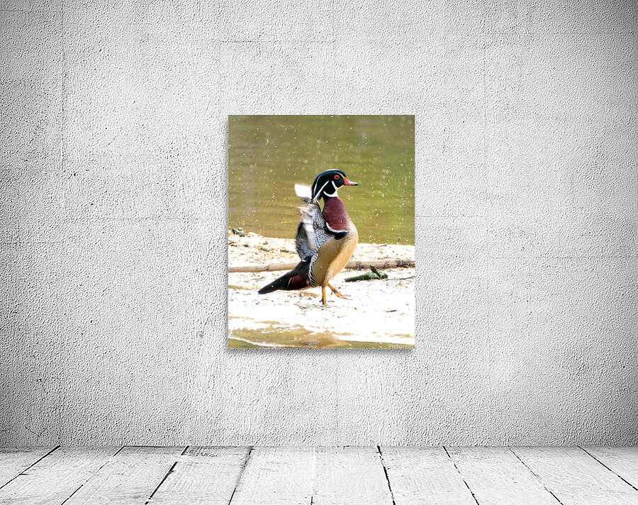 Waterfowl 76 Wall Preview
