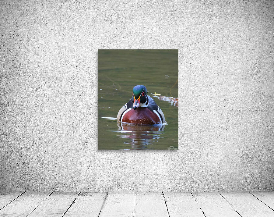 Waterfowl 77 Wall Preview
