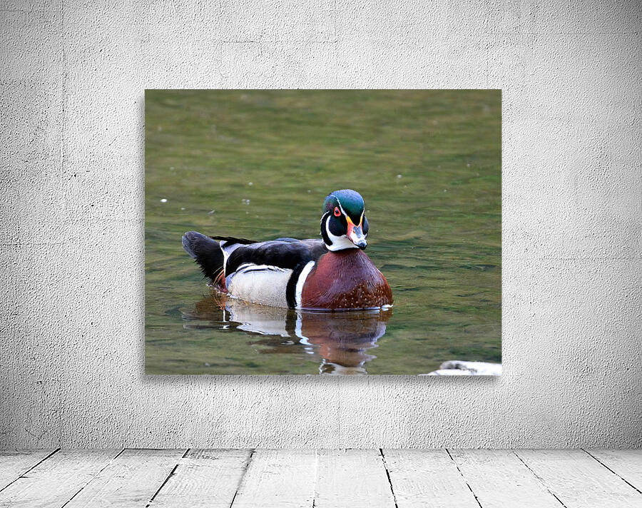 Waterfowl 80 Wall Preview