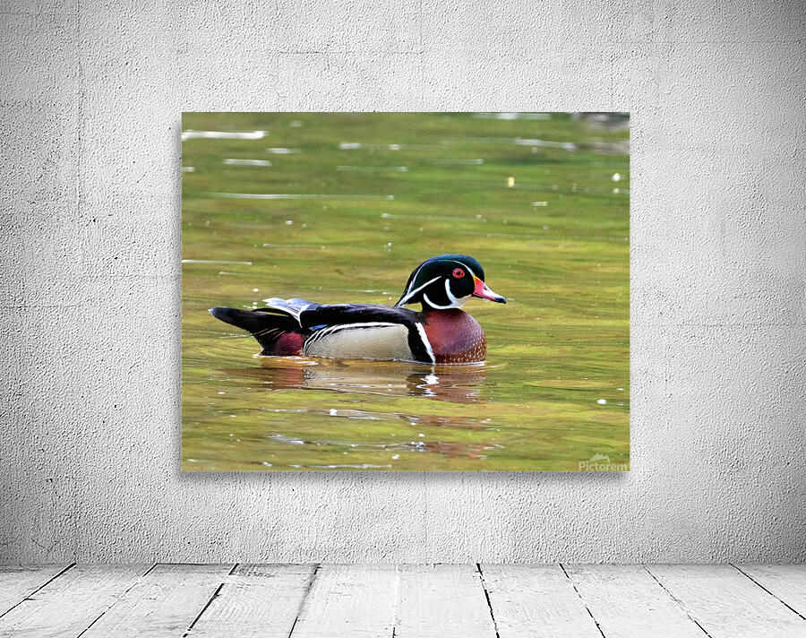 Waterfowl 90 Wall Preview