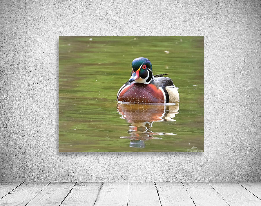 Waterfowl 92 Wall Preview