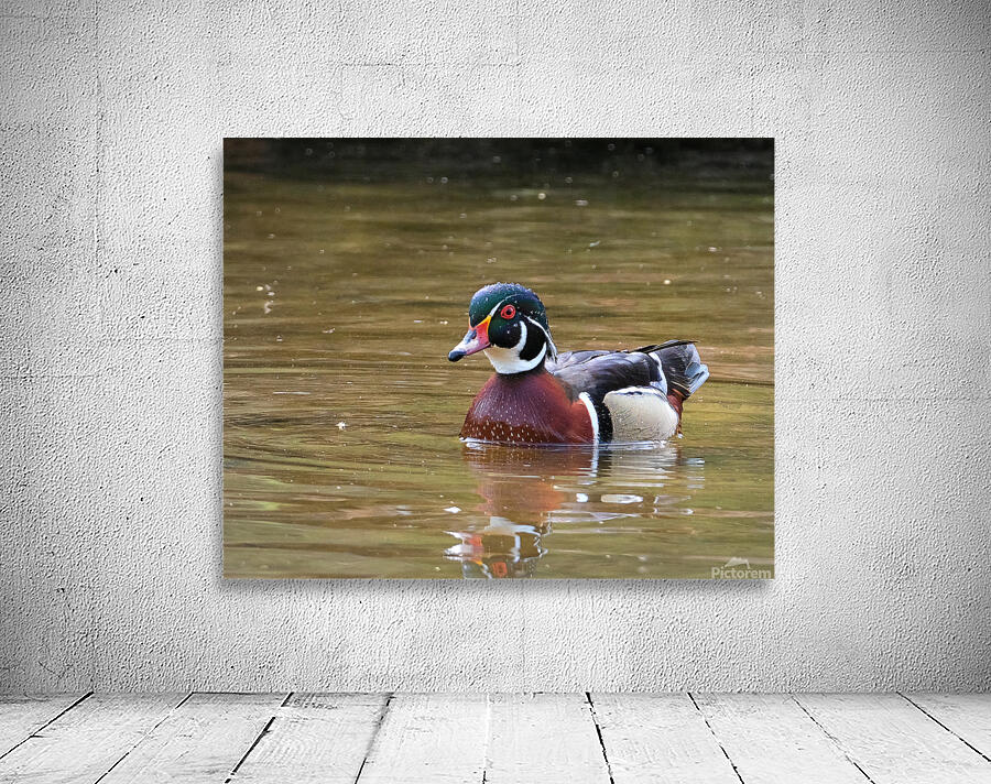 Waterfowl 94 Wall Preview