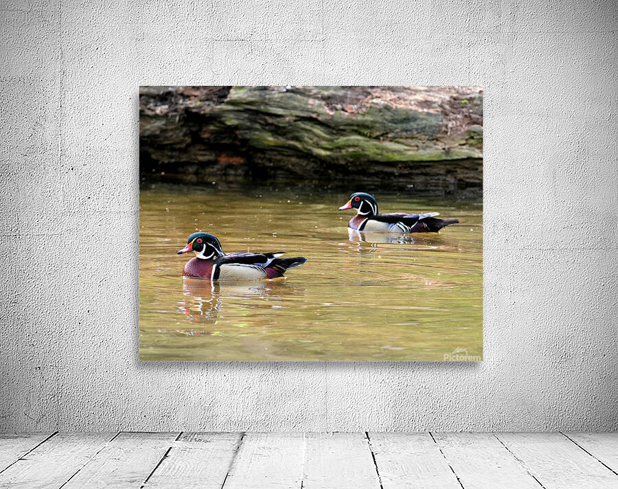 Waterfowl 99 Wall Preview