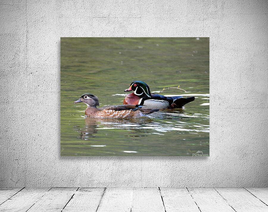Waterfowl 101 Wall Preview