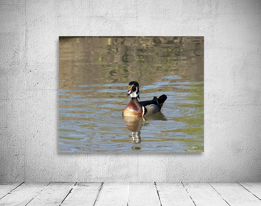 Waterfowl 110 Wall Preview