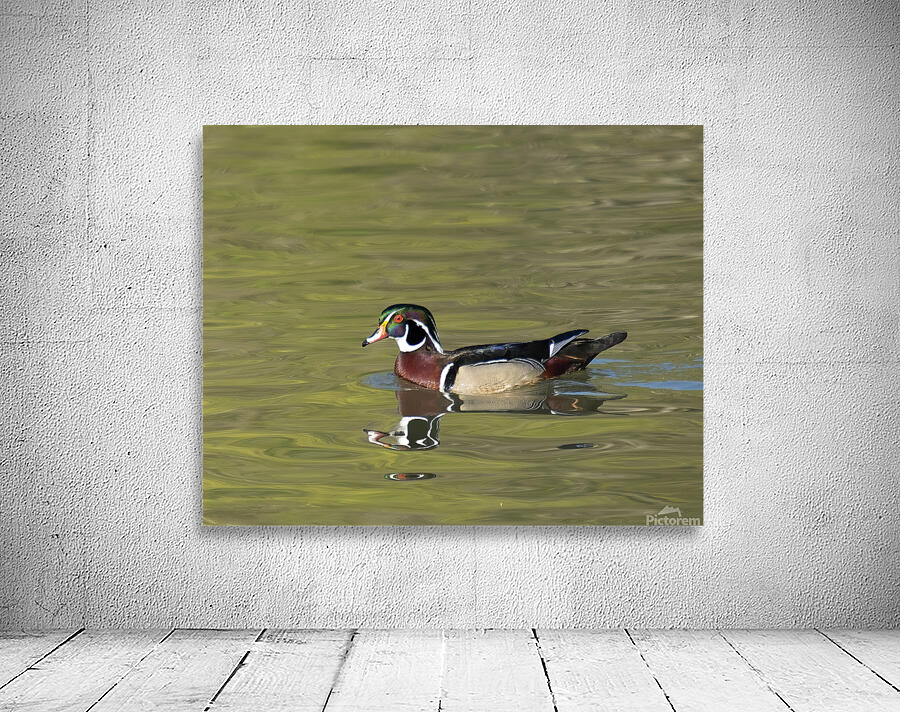 Waterfowl 113 Wall Preview