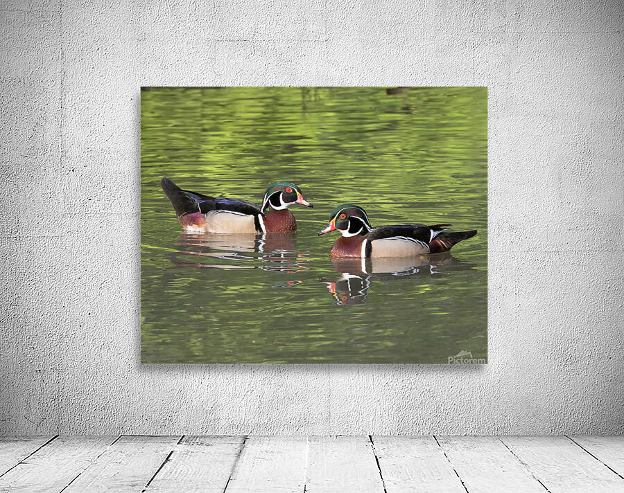 Waterfowl 115 Wall Preview