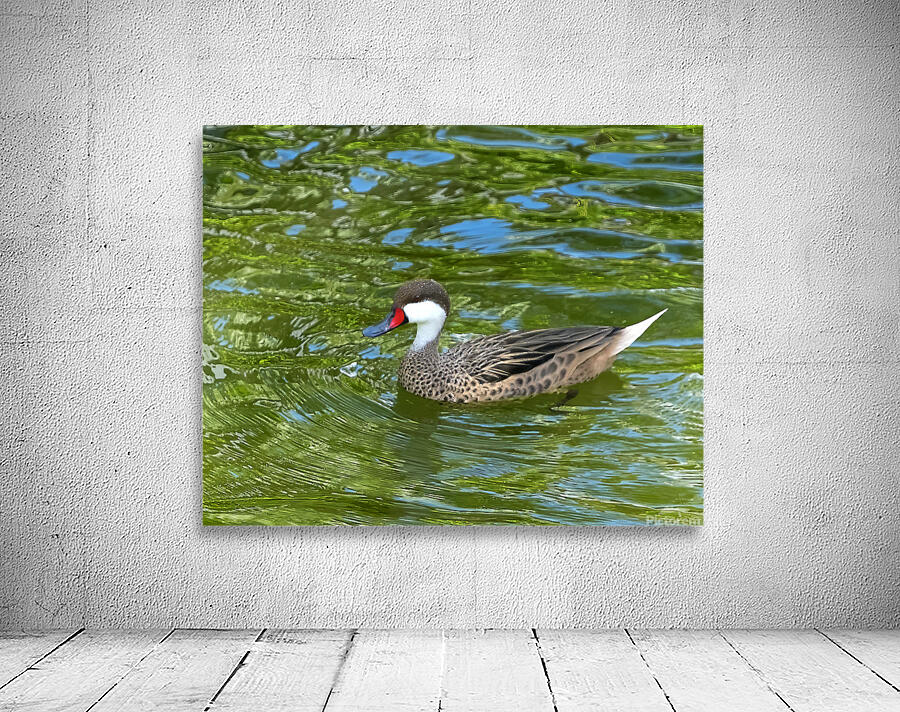 Waterfowl 125 Wall Preview
