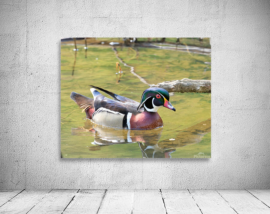 Waterfowl 129 Wall Preview