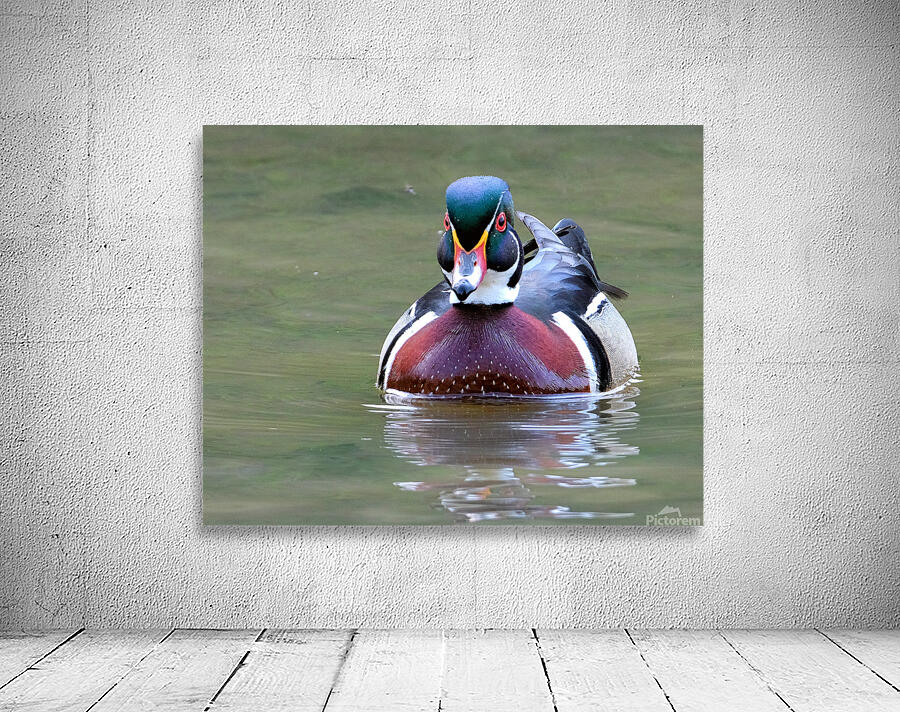 Waterfowl 148 Wall Preview
