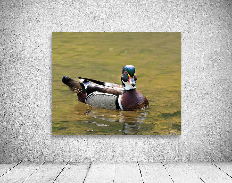 Waterfowl 153 Wall Preview