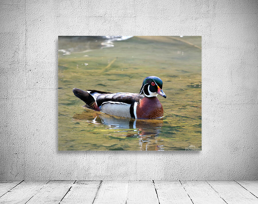 Waterfowl 155 Wall Preview
