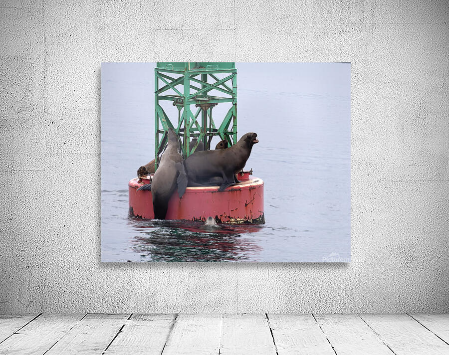 Alaska 6 Wall Preview