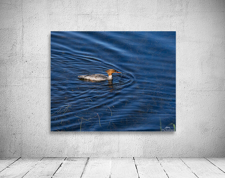 Waterfowl 158 Wall Preview