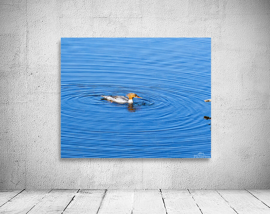 Waterfowl 159 Wall Preview