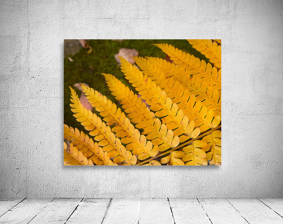 Abstract  36 Wall Preview