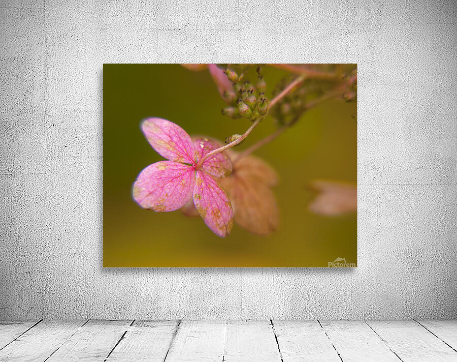 Abstract  38 Wall Preview