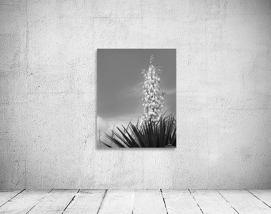 Abstract  41 Wall Preview