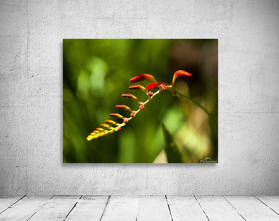 Abstract  45 Wall Preview