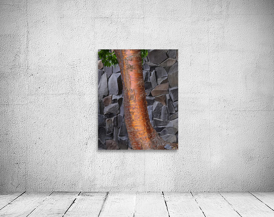 Abstract  47 Wall Preview