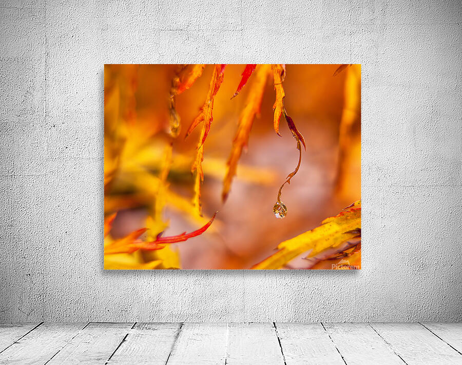 Abstract  48 Wall Preview