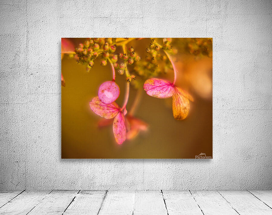 Abstract  52 Wall Preview