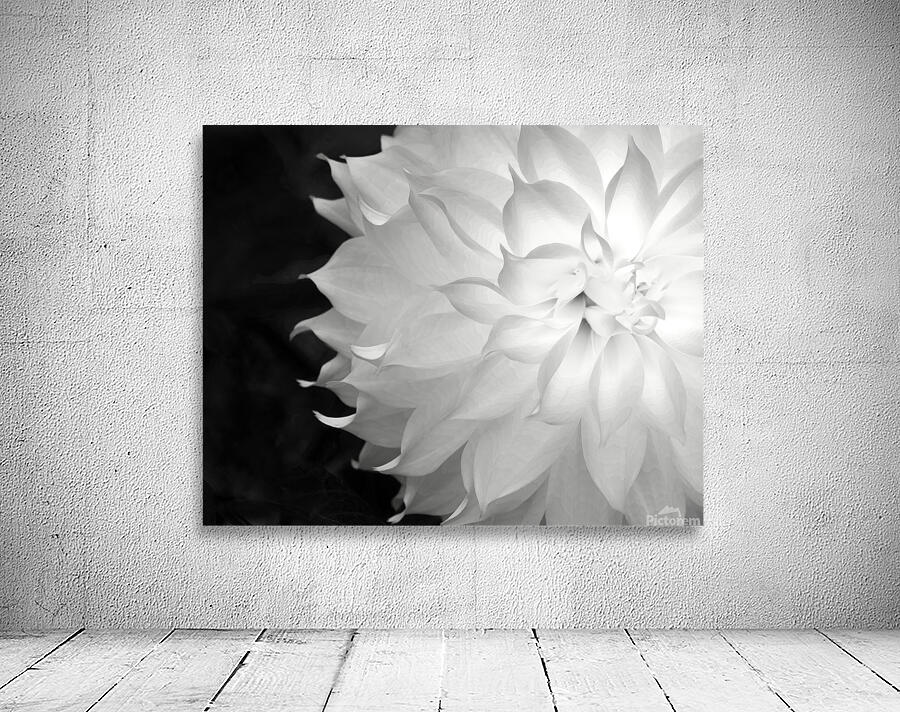 Abstract  53 Wall Preview