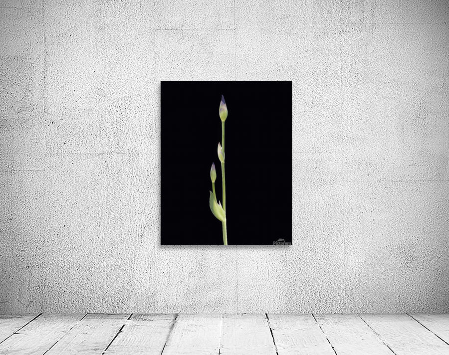 Abstract  55 Wall Preview