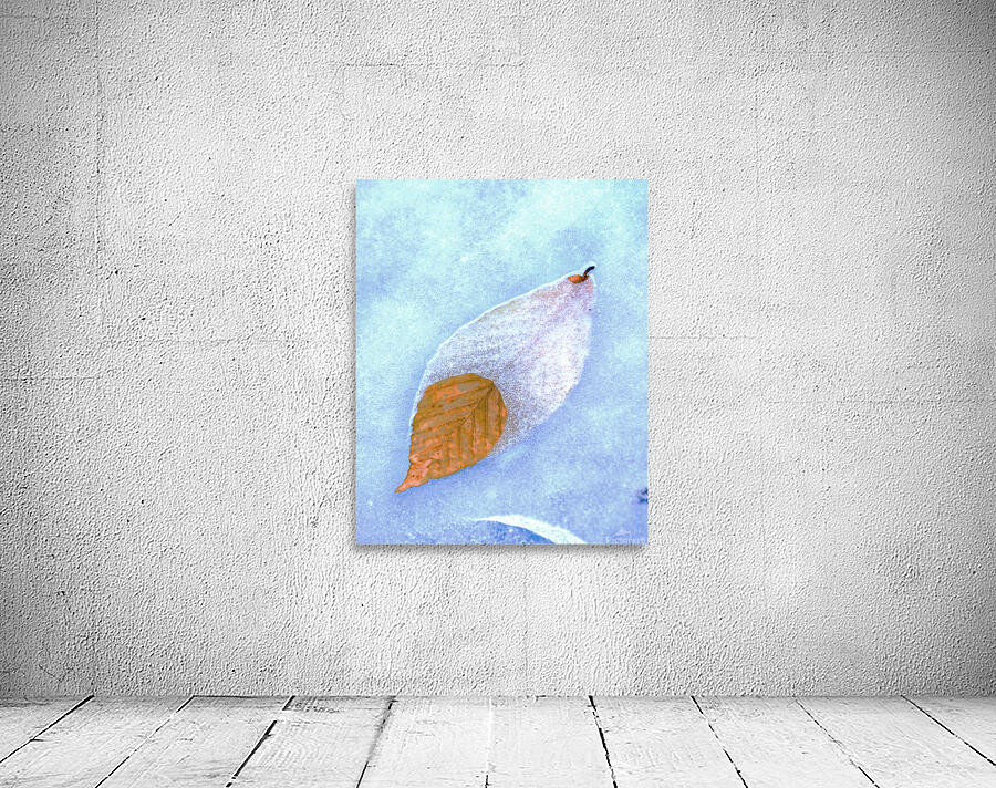 Abstract  57 Wall Preview