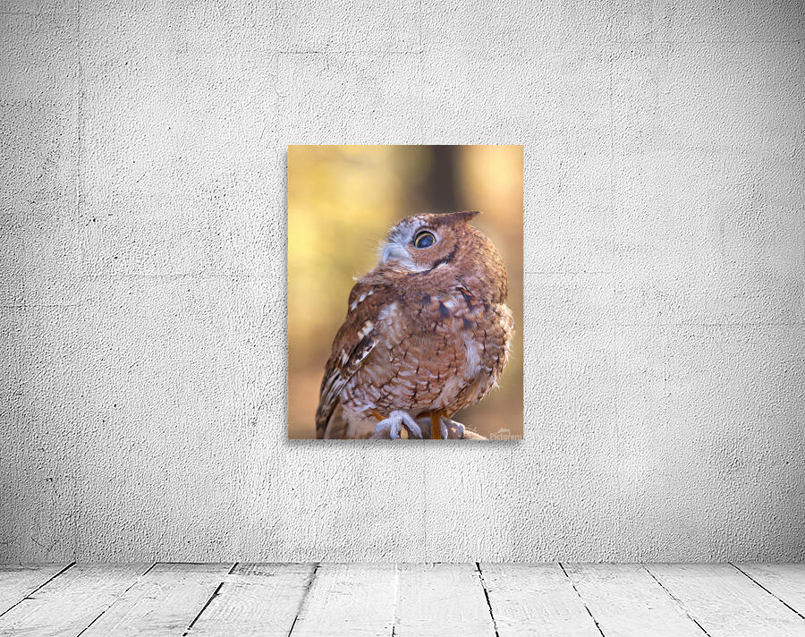 Birds  2 Wall Preview