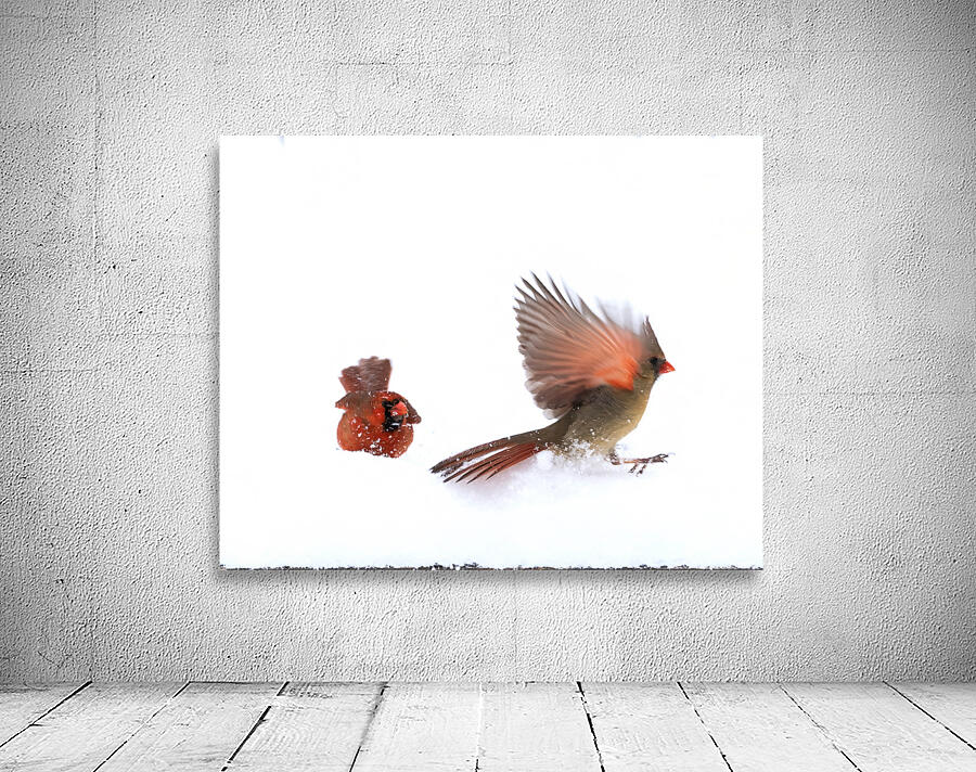Birds  10 Wall Preview
