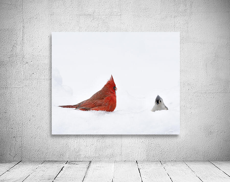 Birds  12 Wall Preview