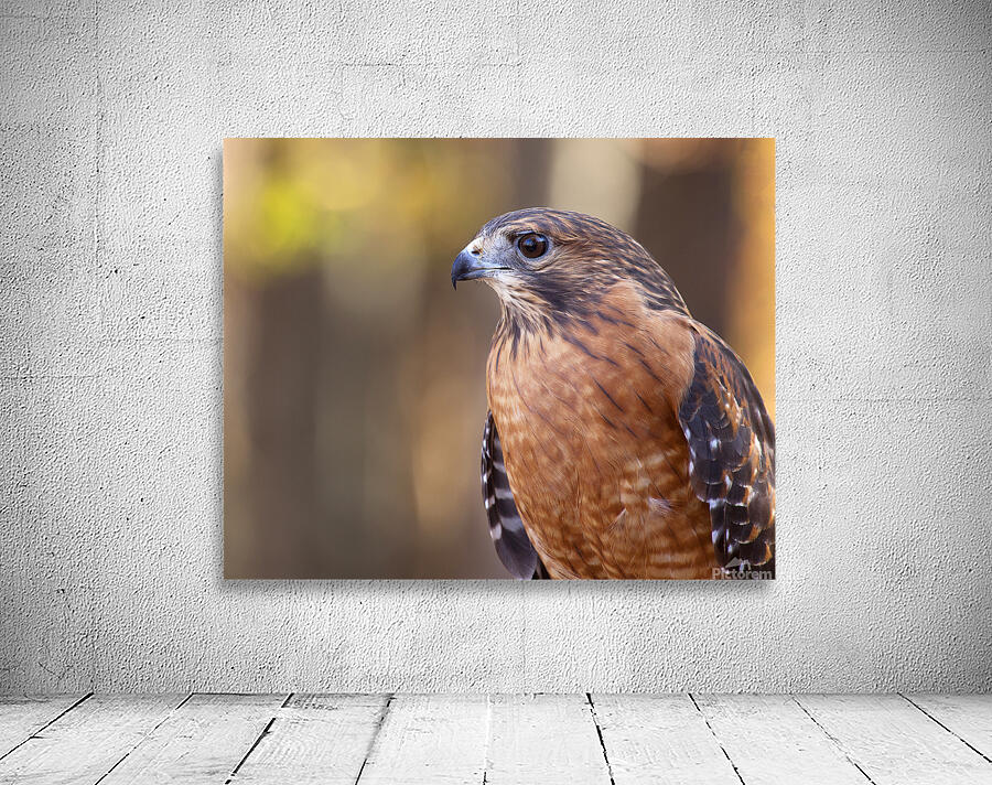 Birds  18 Wall Preview
