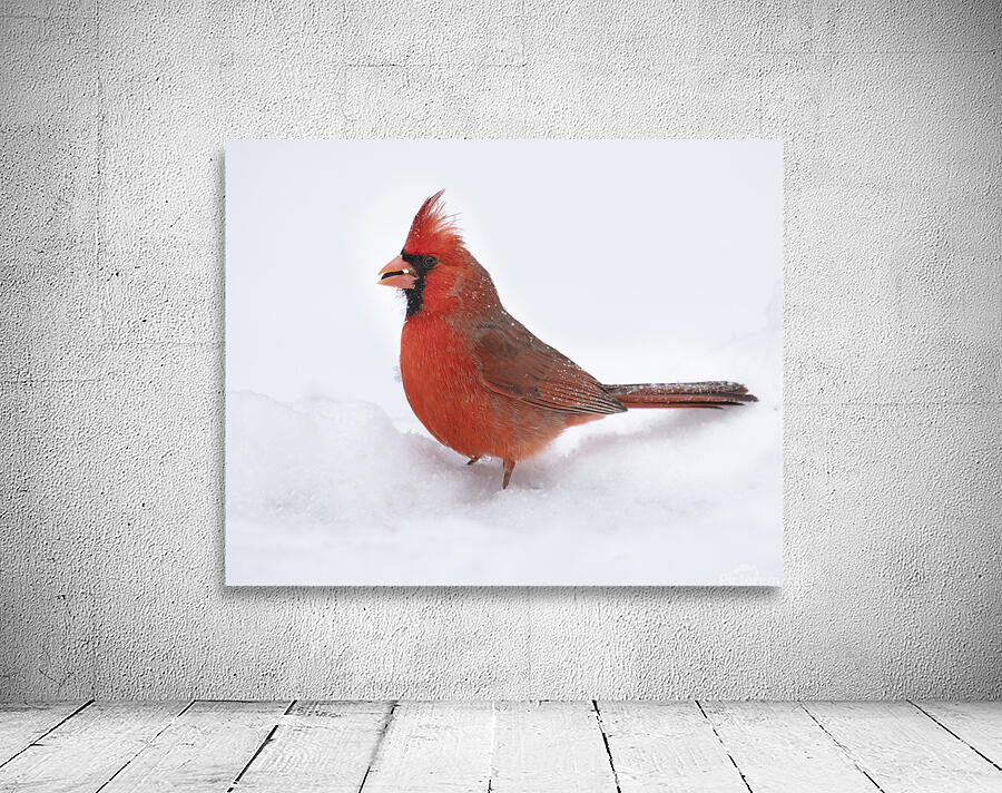 Birds  19 Wall Preview