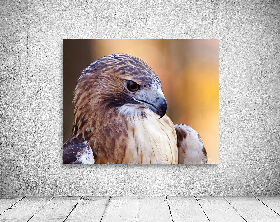 Birds  24 Wall Preview