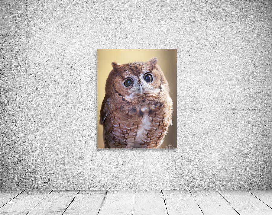 Birds  30 Wall Preview