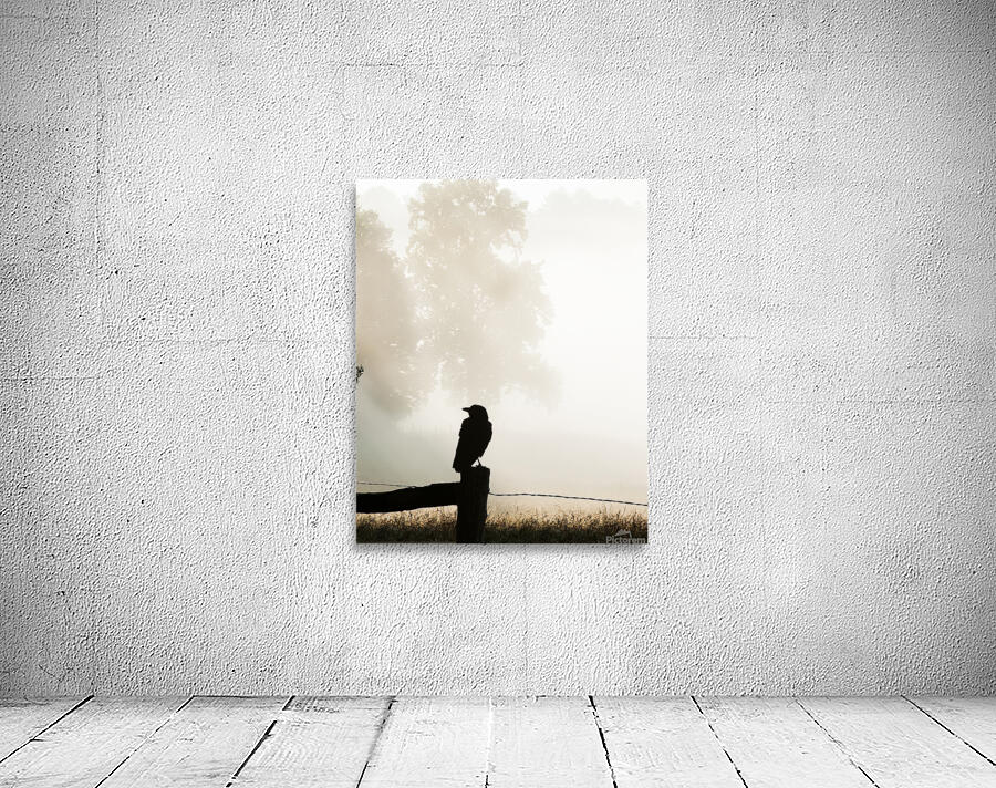 Birds  40 Wall Preview