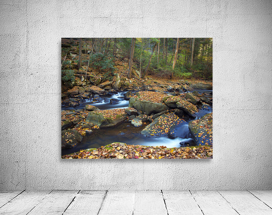 Water  2 Wall Preview