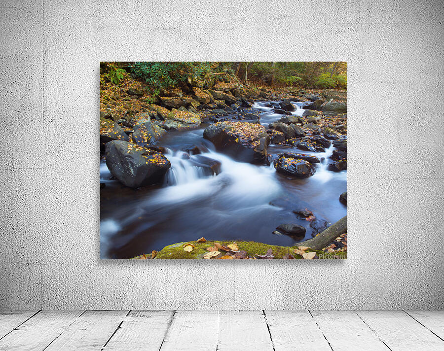 Water  22 Wall Preview